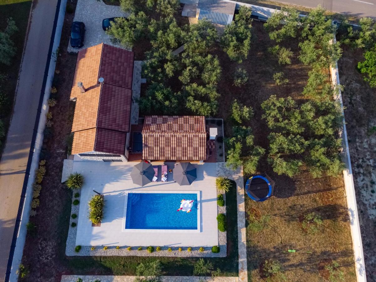 Villa Lorema-Pet Friendly On 5000 Sqm Garden,Pool, Jacuzzi, Billiard&Ps5 Свети свети Филип и Яков Екстериор снимка