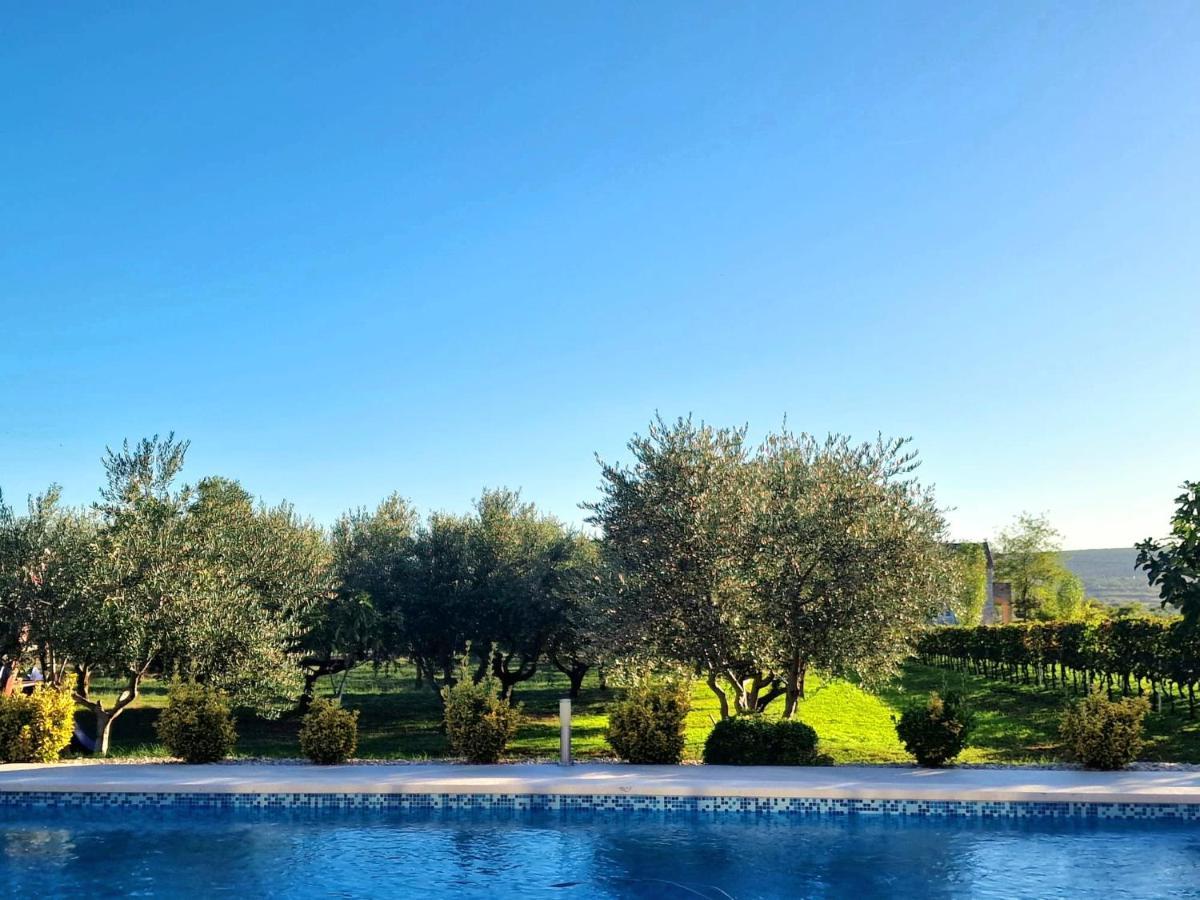Villa Lorema-Pet Friendly On 5000 Sqm Garden,Pool, Jacuzzi, Billiard&Ps5 Свети свети Филип и Яков Екстериор снимка